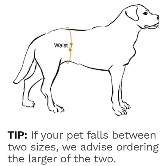 ALFIE BLACK UNISEX DOG DIAPER WASHABLE REUSABLE SIZE LARGE NWOT - Picture 8 of 8